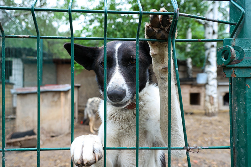    Сергей Петров/NEWS.ru