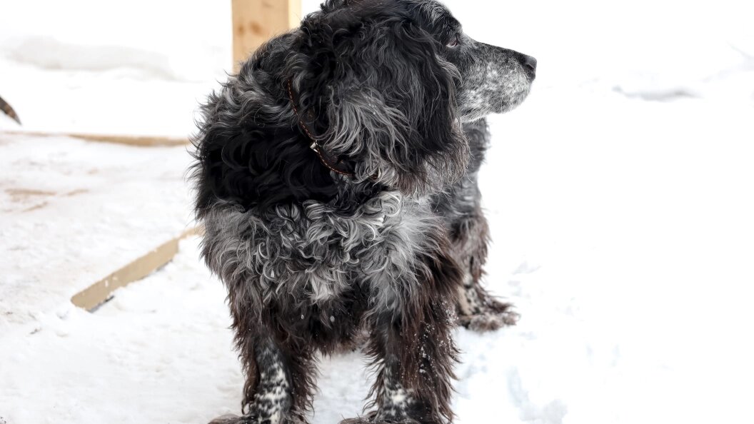    Фото: Elena Mayorova/Globallookpress