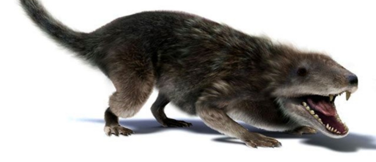 Дроматерий. 3D арт.