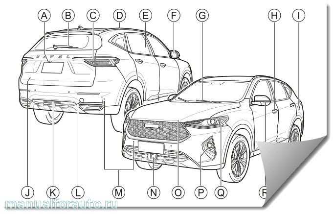 Фото из интернета 