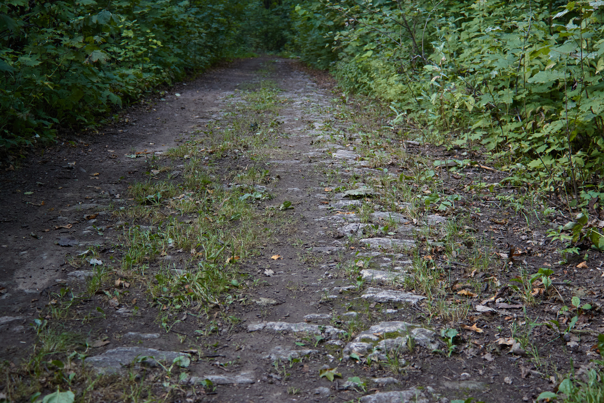 Фрагменты мощёной дороги -->