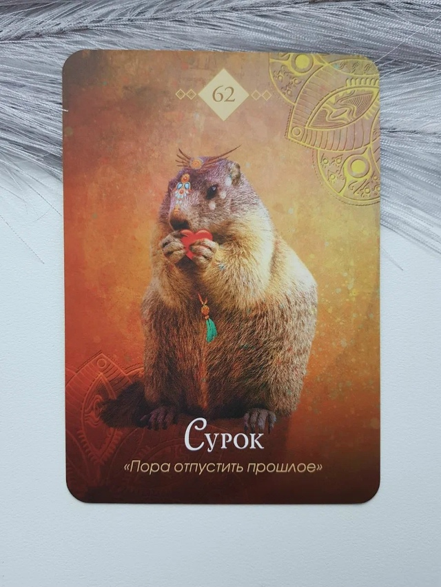 Фото автора блога "Так Выпала Карта"