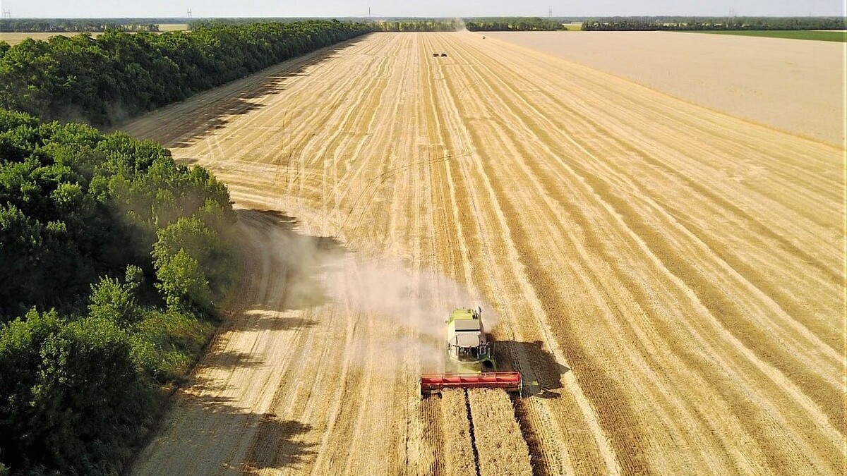    Фото: t.me/admkrai