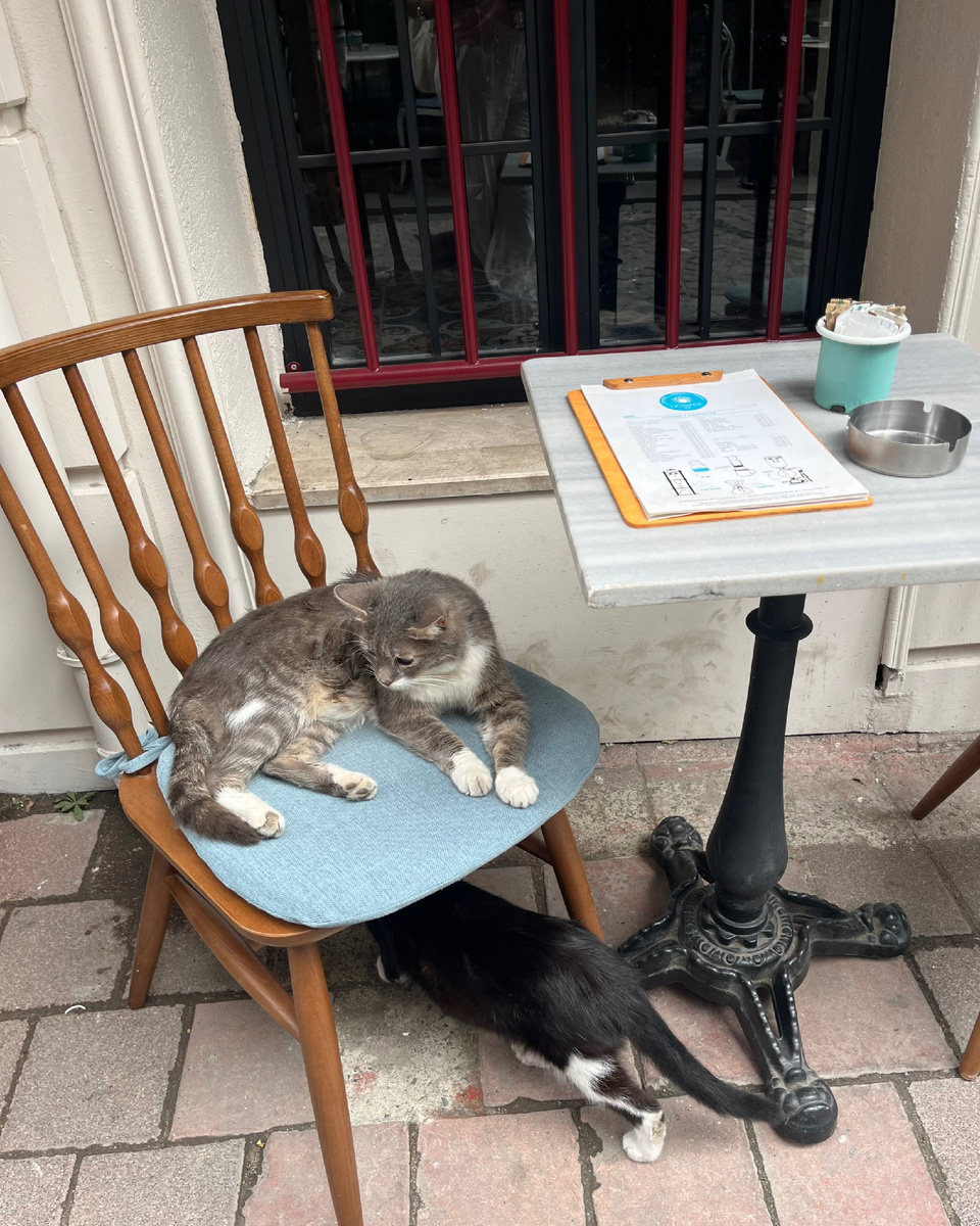 что там официант под стулом делает..? Я уже давно готов заказ сделать