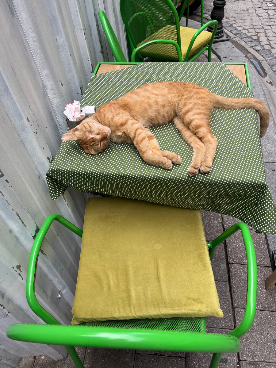 У меня вообще все заМУРчательно и я никому это место не уступлю