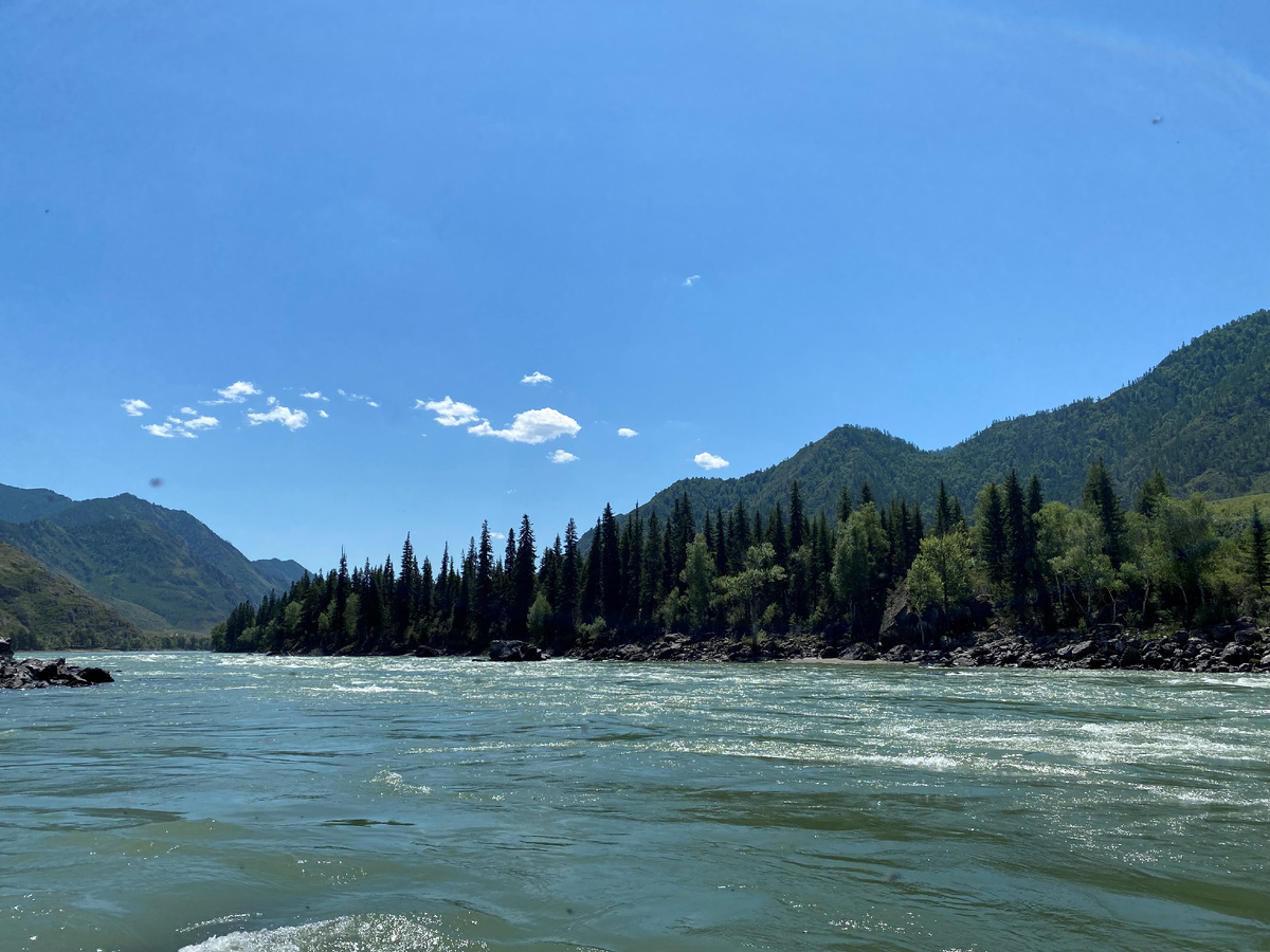 Фото Катуни в месте, где мы купались.