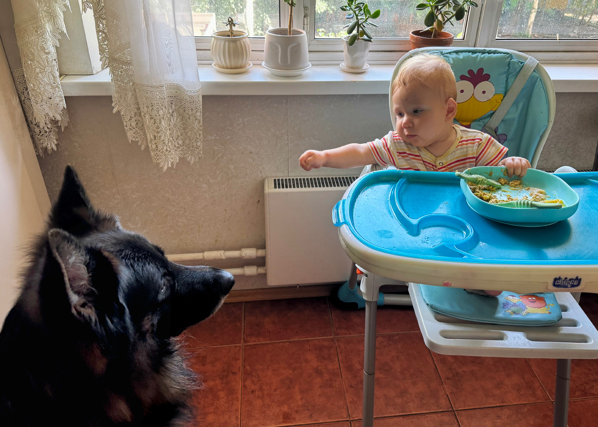 Локи и Ростислав кормятся