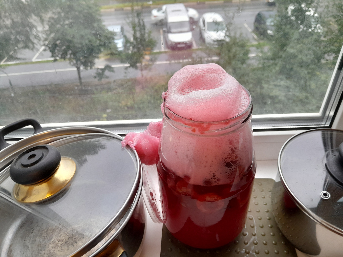 Это он у меня немного убежал! (Фото автора)