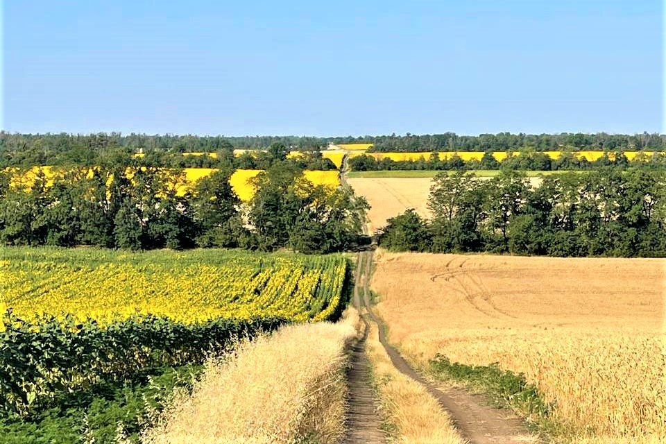 Фото: Пресс-служба администрации Краснодарского края