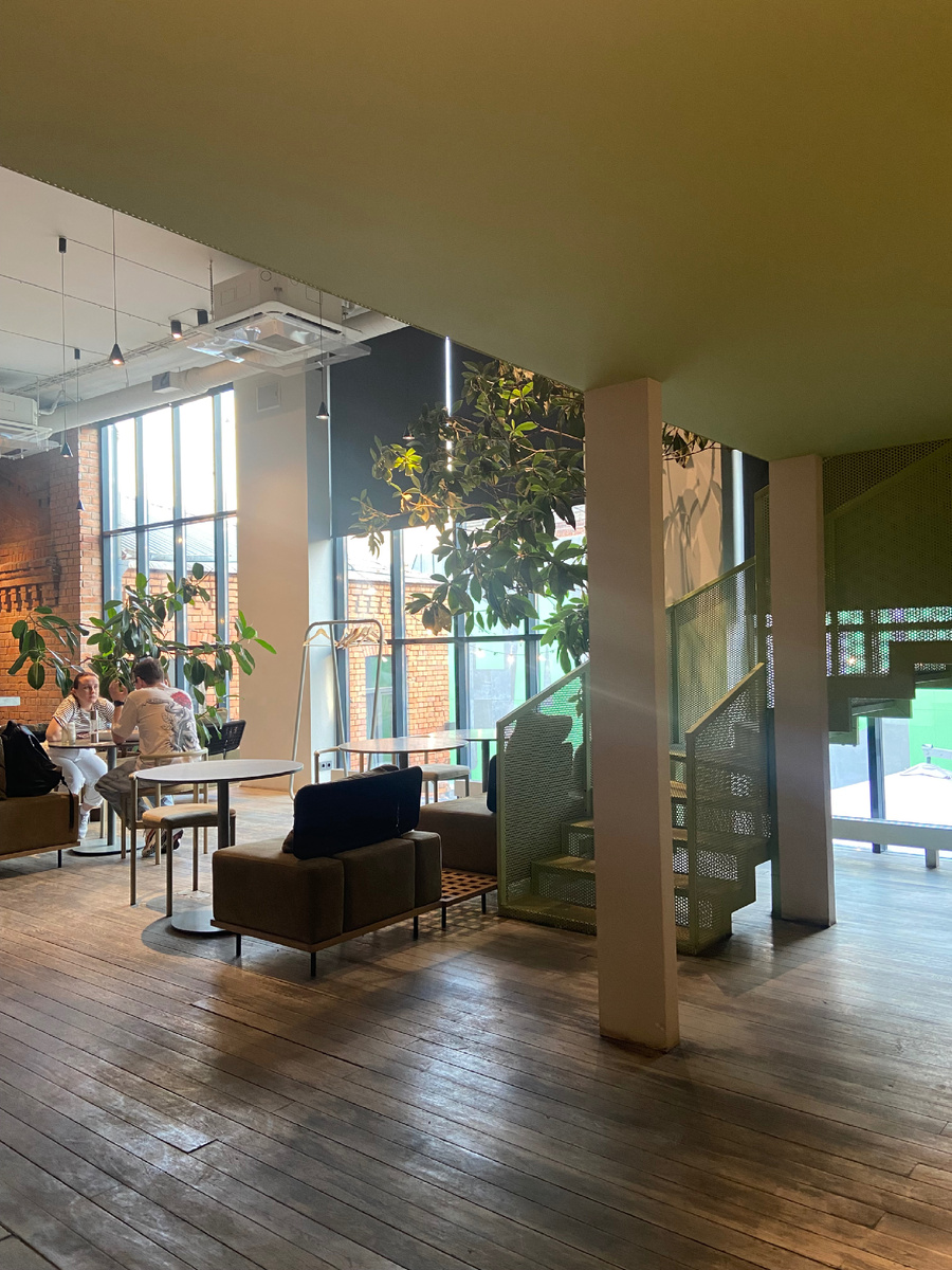 Вид на внутреннее убранство PENNY из-под зеленого яруса