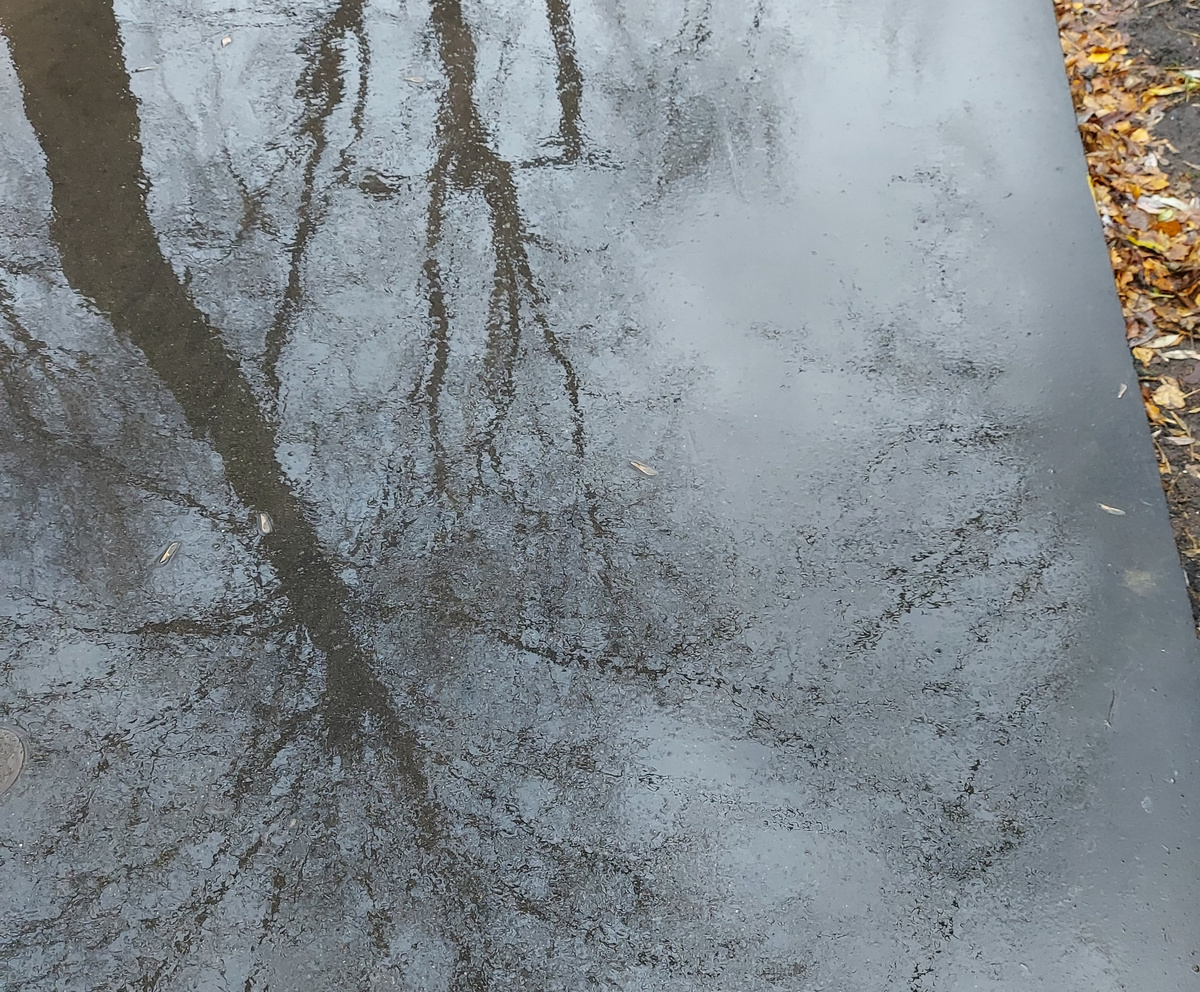 Фото – ноябрь 2021 г.