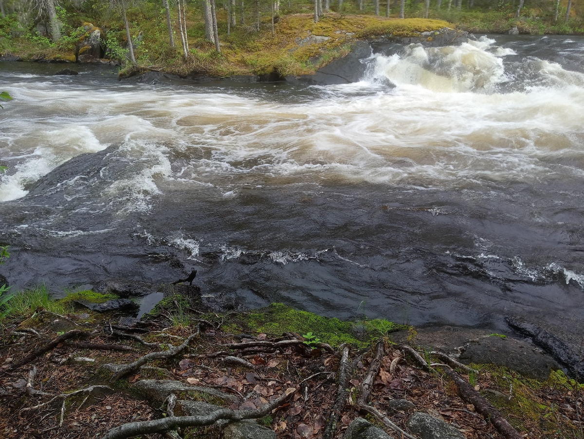 Автор фото: Татьяна Смелко