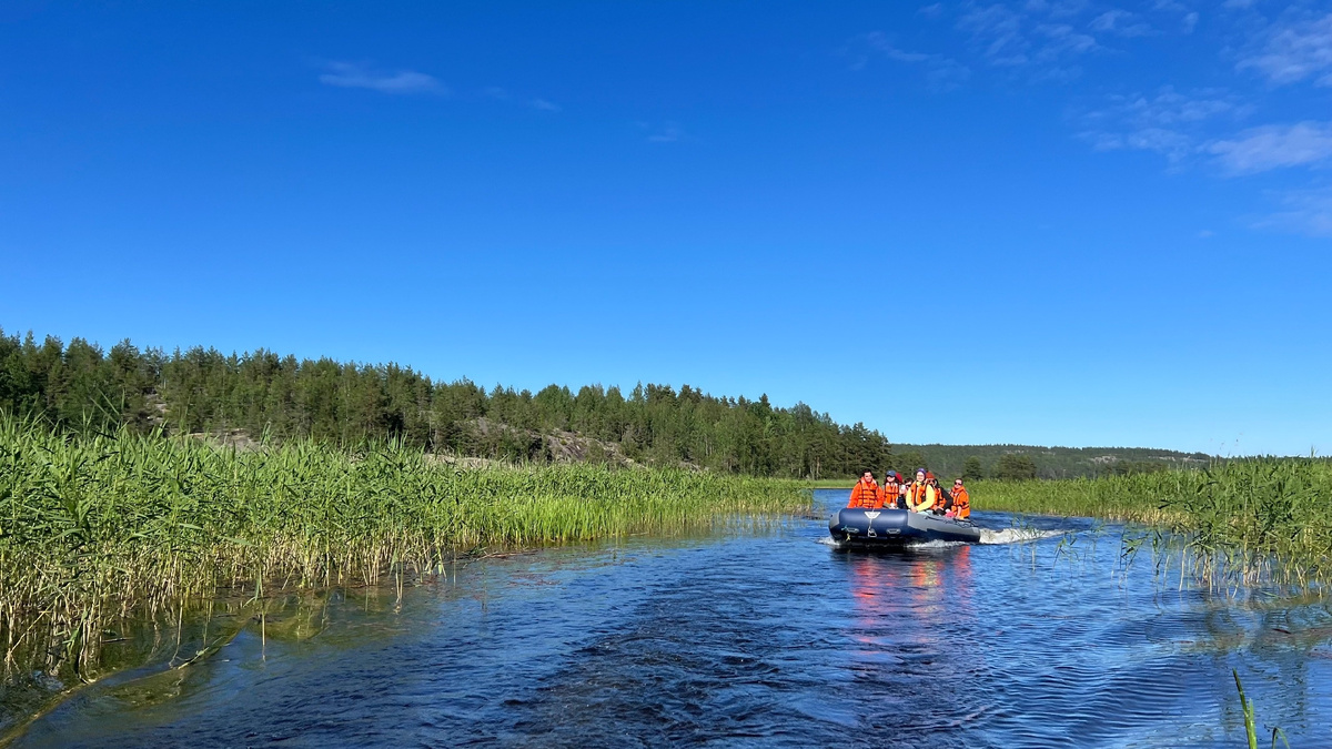 Автор фото: Анна Васильева