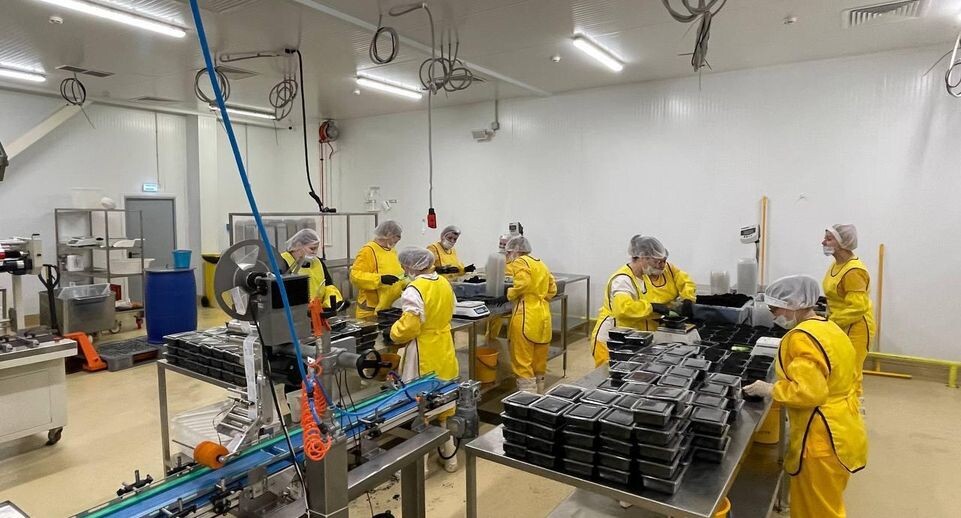    Компания «СиаСтар»