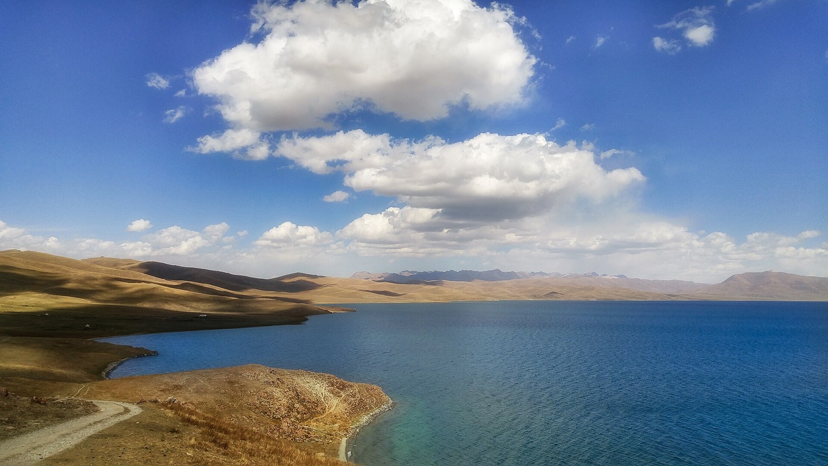 Источник: wikipedia.org Автор: Vilya Shoni CC BY-SA 4.0