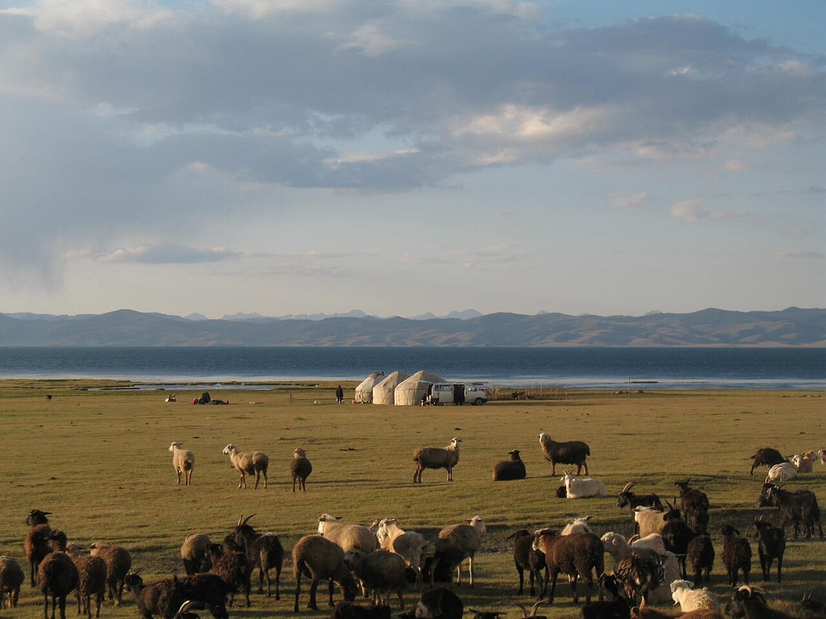 Источник: wikipedia.org Автор: Firespeaker CC BY-SA 3.0