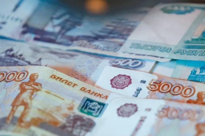 В России после выпада Родниной призвали депутатов Госдумы отказаться от зарплаты