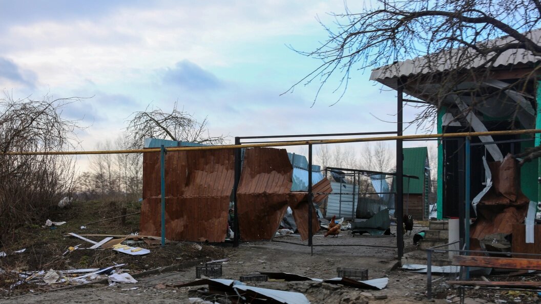    Фото: Konopatov Yuri/Globallookpress