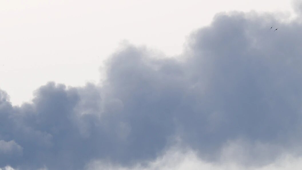    Фото: Alexander Legky/Global Look Press