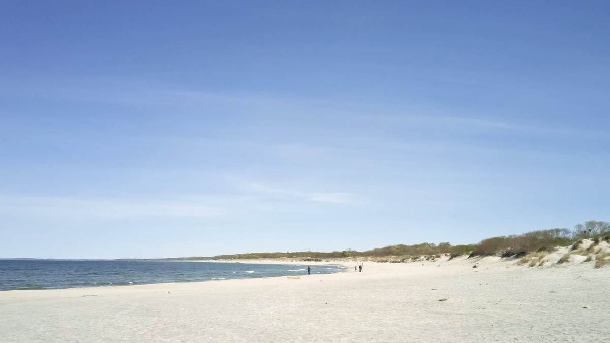 В районе Балтийска