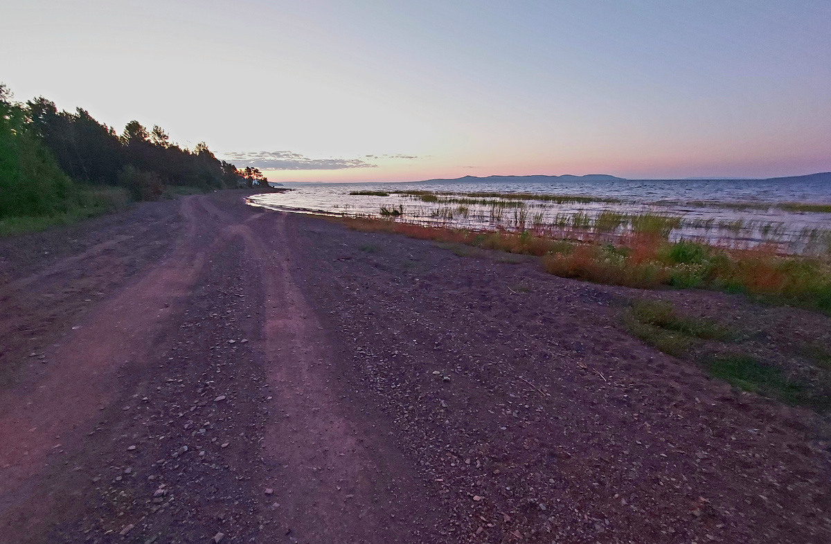 Карась в августе любит кормиться на отмелях поросших травой  