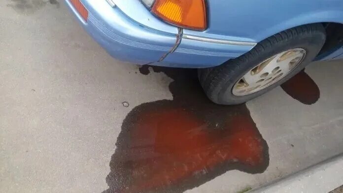 Фото заимствовано - https://yandex.ru/video/touch/preview/4707175028456482541