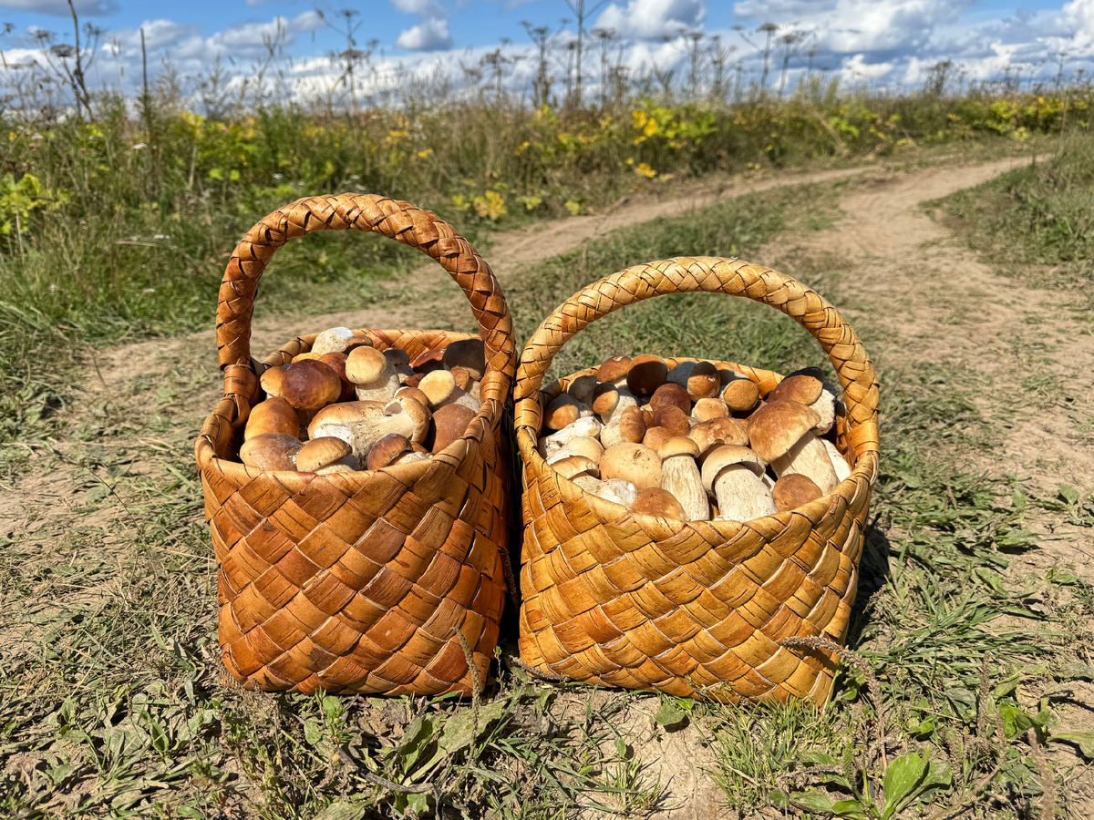 Фото Екатерины Полянцевой