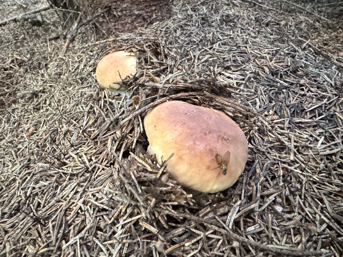 Фото Екатерины Полянцевой