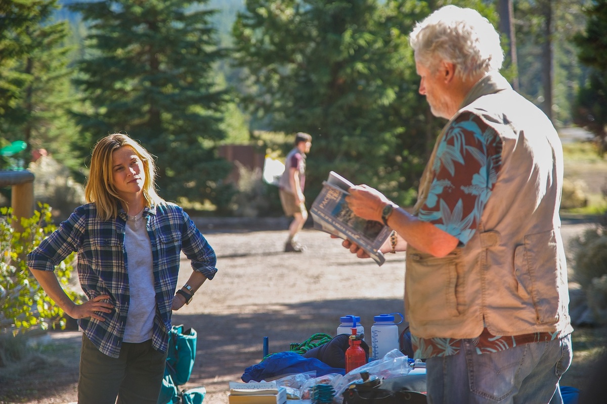 все фото из открытых источников