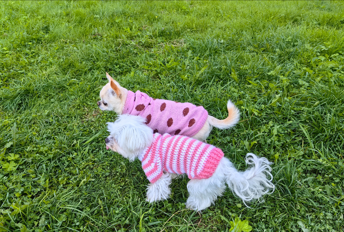 Осенний наряд 