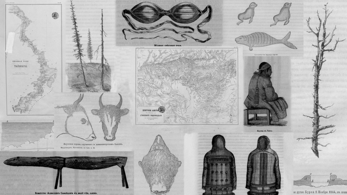 Вместо тысячи слов - тысяча открытий (иллюстрации из книги А.Ф. Миддендорфа «Путешествие на Север и Восток Сибири»). Фото: https://rusneb.ru