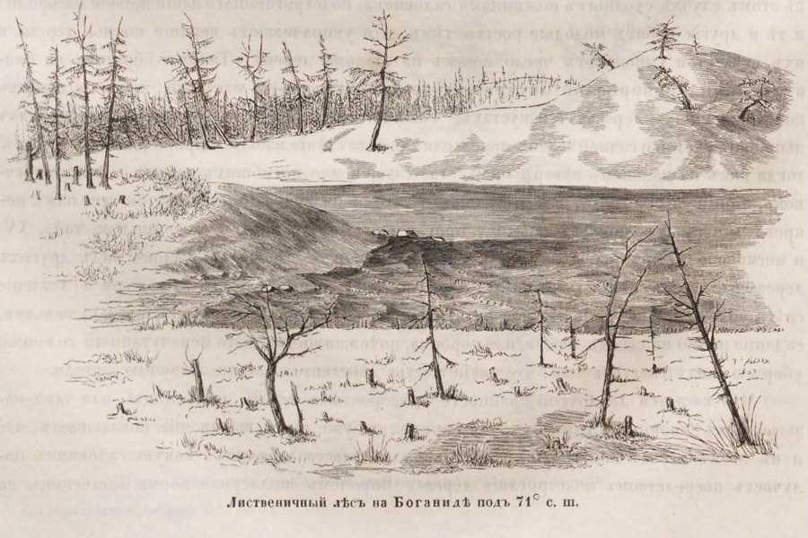 Лиственный лес (из книги А.Ф. Миддендорфа «Путешествие на Север и Восток Сибири»). Фото: https://rusneb.ru