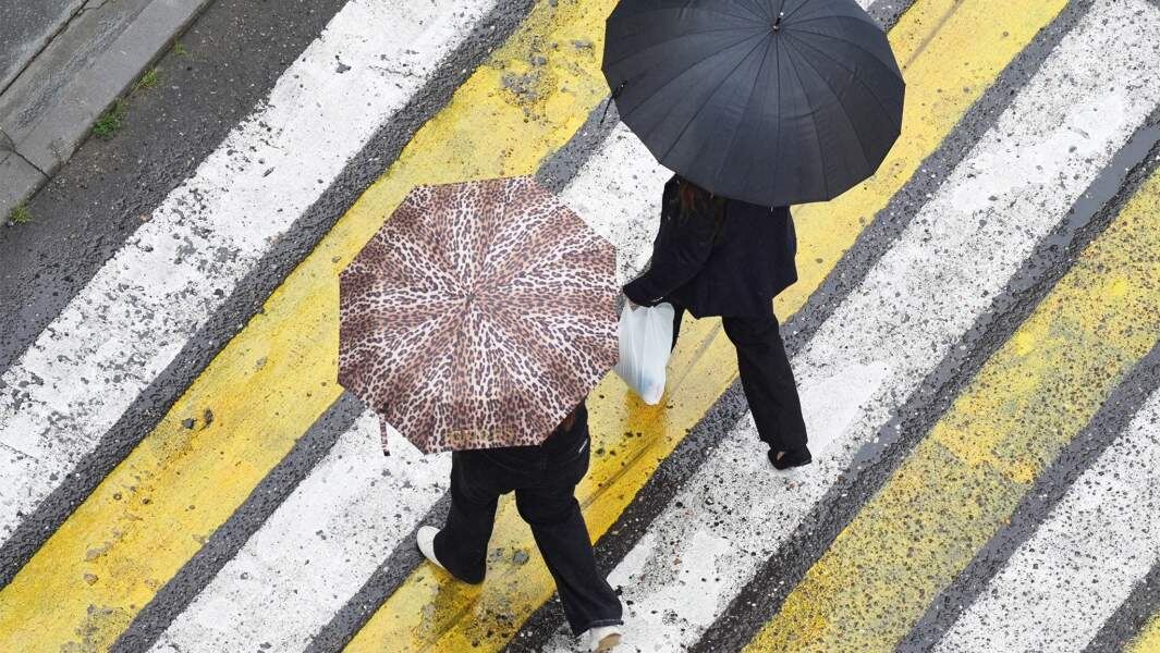    Фото: ИЗВЕСТИЯ/Андрей Эрштрем