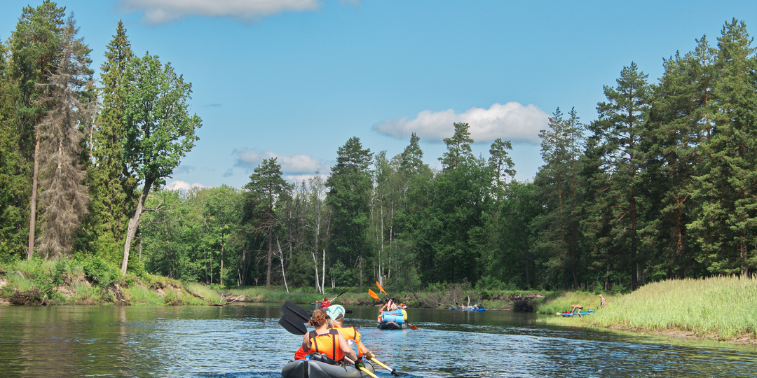 Попробуйте владимирский Лух