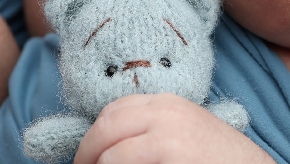    Автор фото: VAD$LEN/Shutterstock/FOTODOM