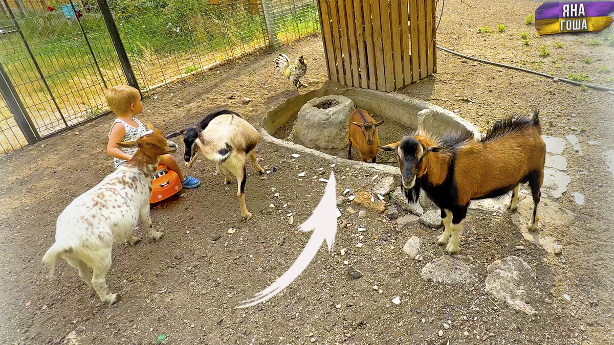 Здесь случилось что-то плохое. Мы всех потеряли.