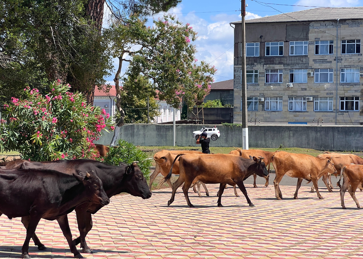 Очамчира, набережная