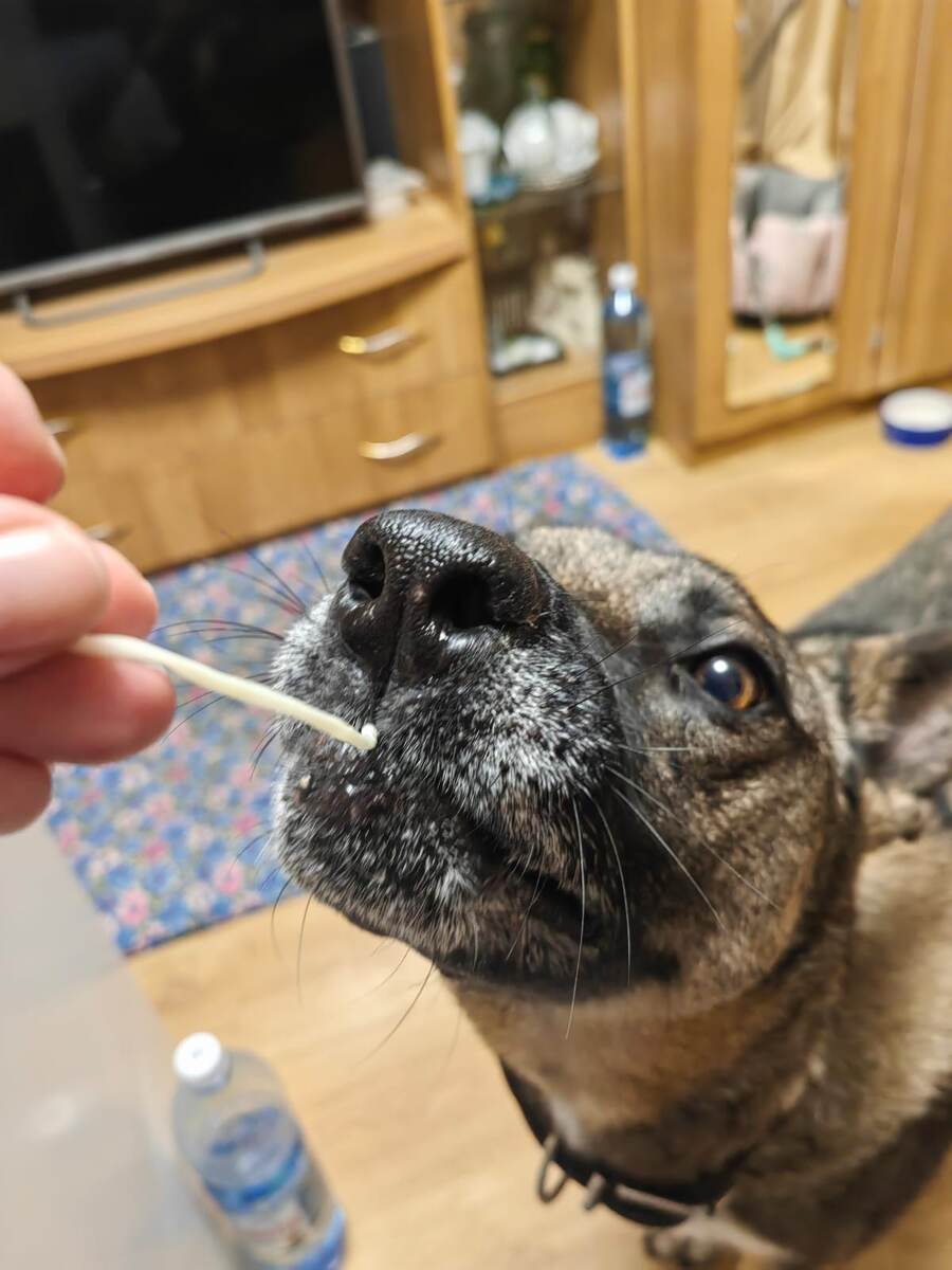 Косичка - это наше всё.