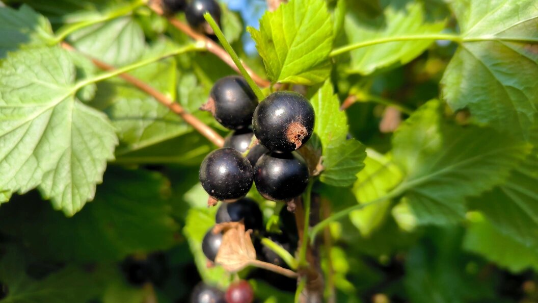    Maksim Konstantinov/Global Look Press/