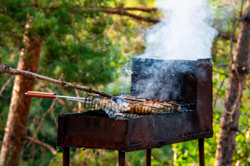    Фото: Svetlana Vozmilova/Globallookpress