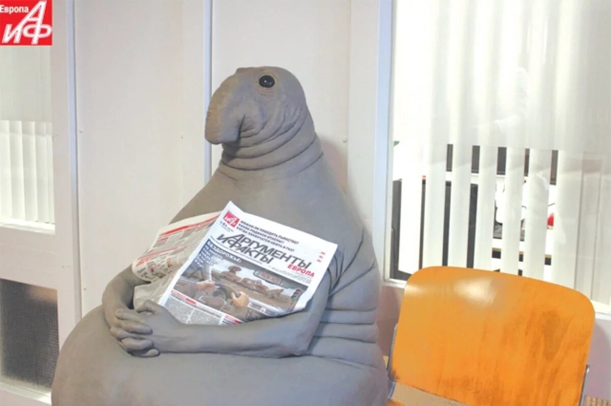    Бизнес-леди из Барнаула оказалась в суде из-за мема про «ждуна»