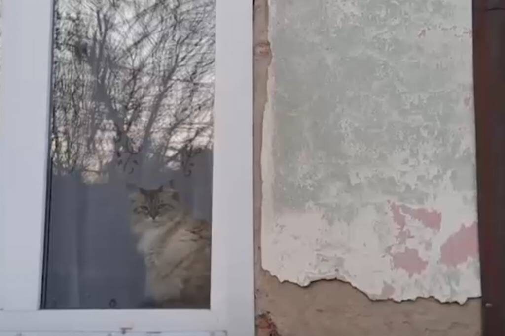    Фото: Mash Siberia