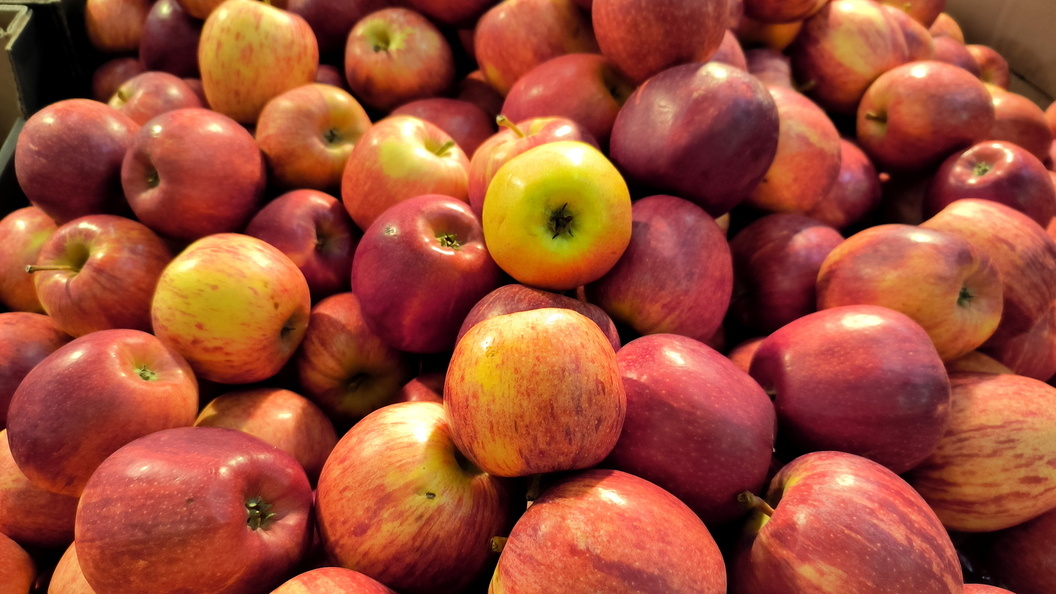    Фото: Maksim Konstantinov/Global Look Press