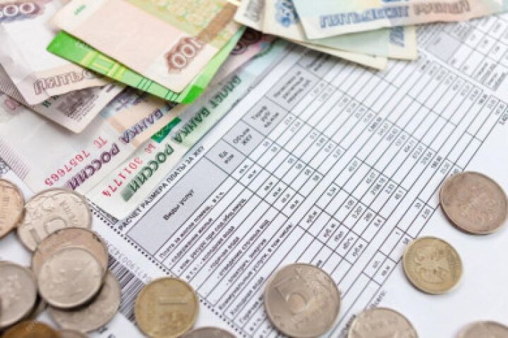    Фото:freepik.com