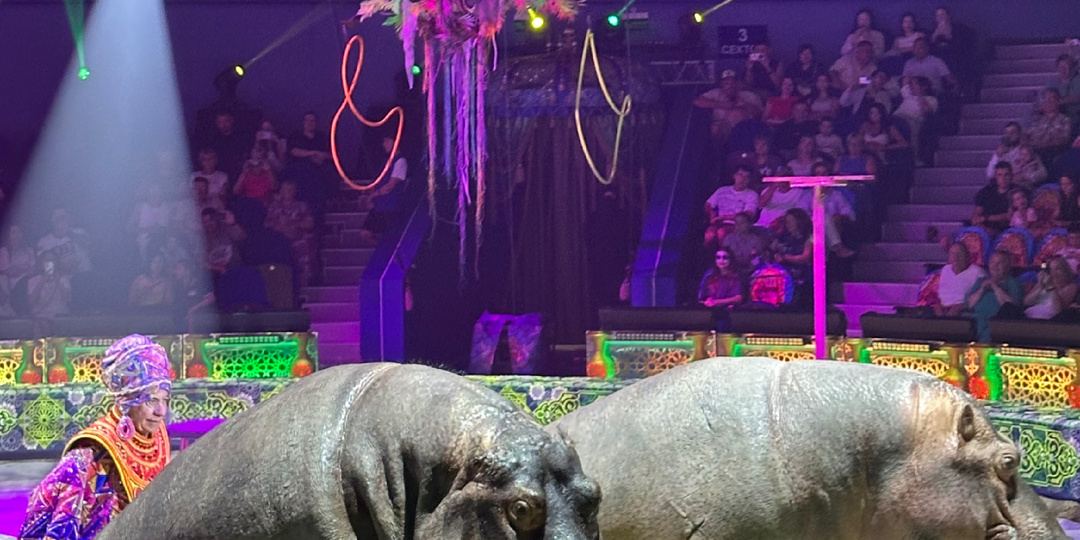 Королевский цирк Гии Эрадзе