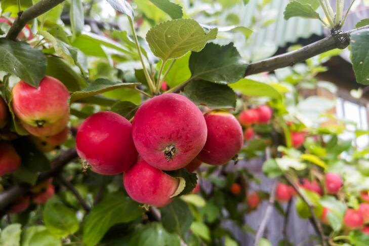    Фото Андрея Заржецкого