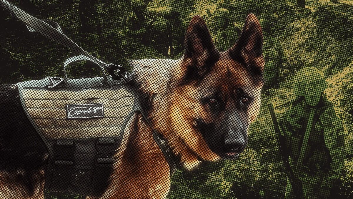   Иван Краснов / RTVI; предоставлено бригадой «Эспаньола»