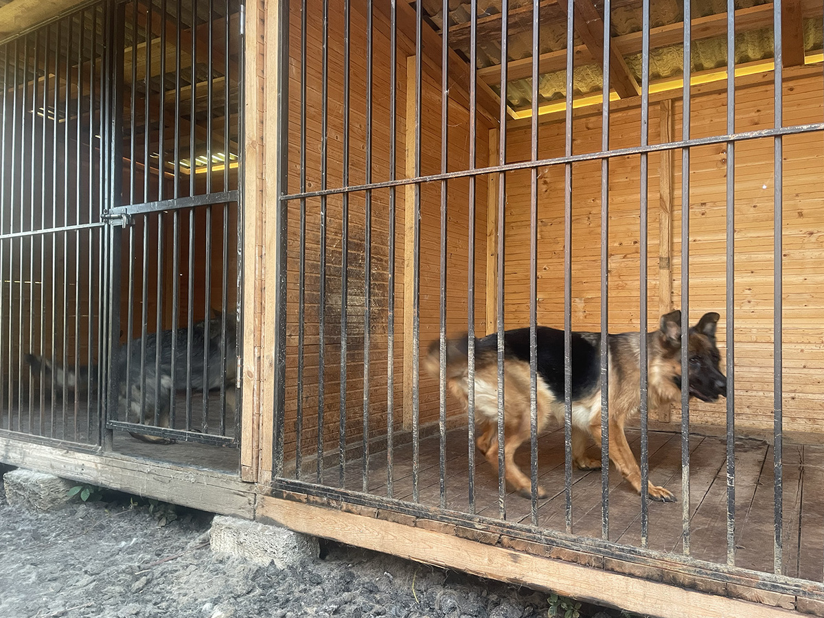    Денис Волин / RTVI