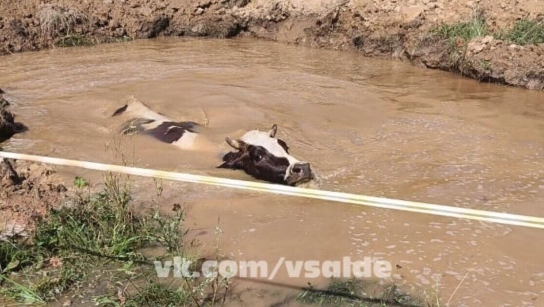     Источник: Группа ВКонтакте «вСалде | Верхняя Салда и Нижняя Салда»