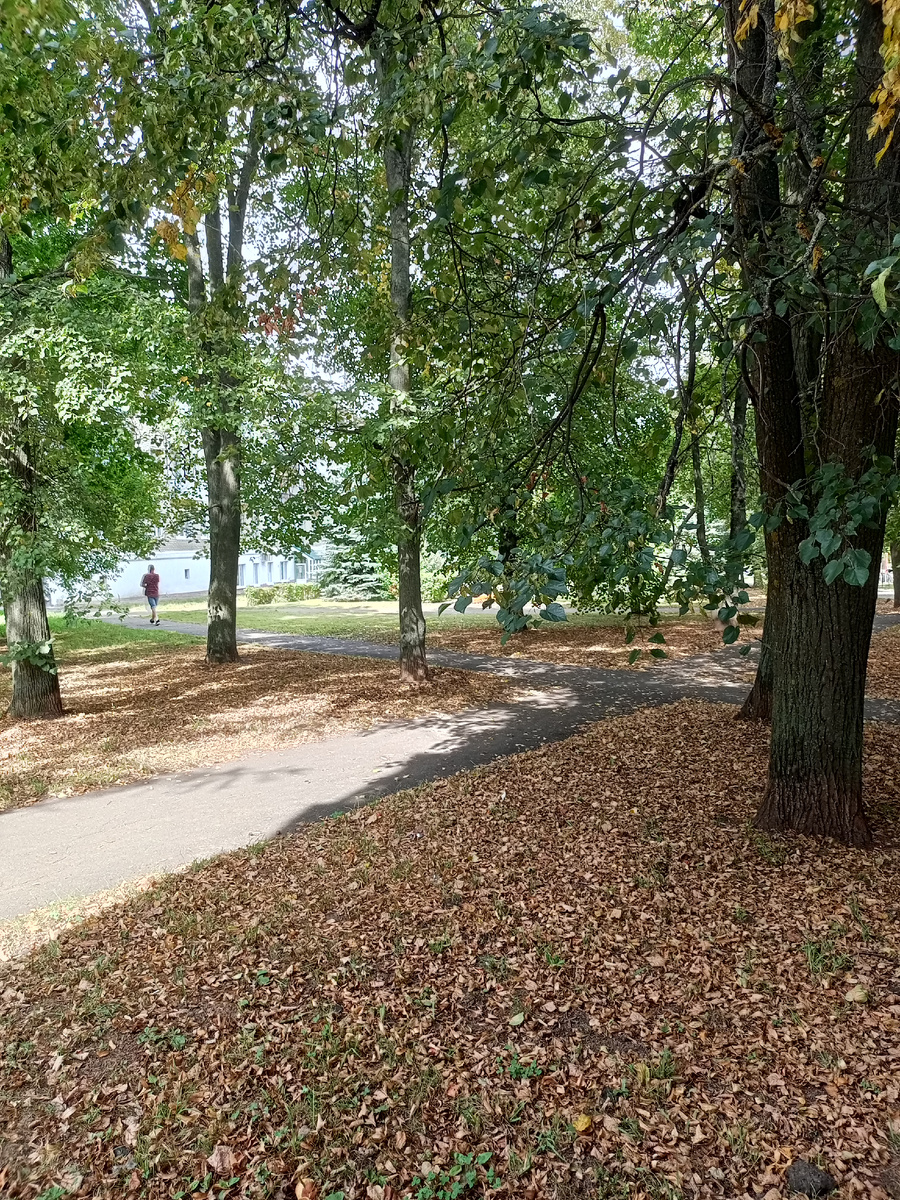 Это у стоматологии сквер, уже осенний